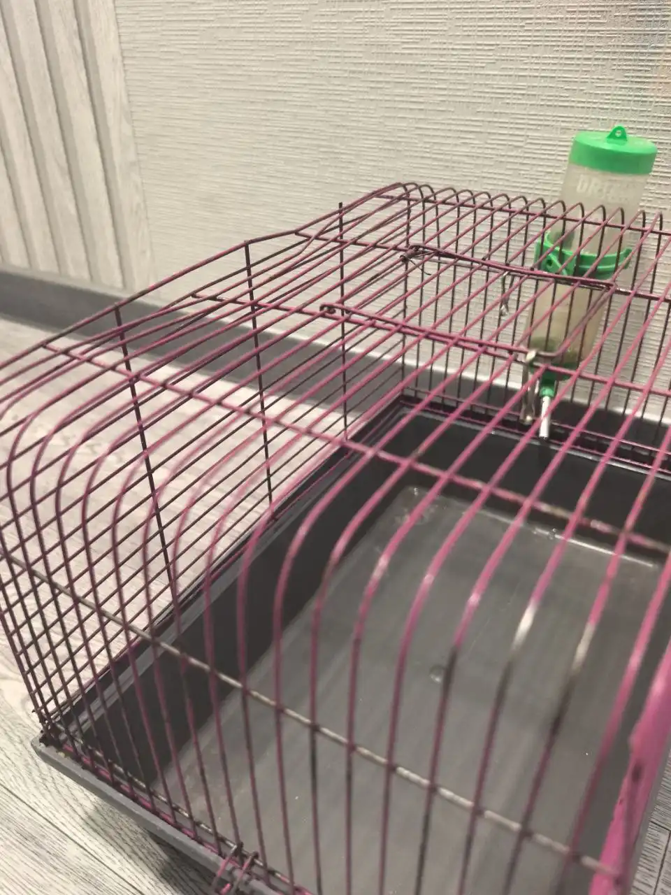 Поилка с клеткой