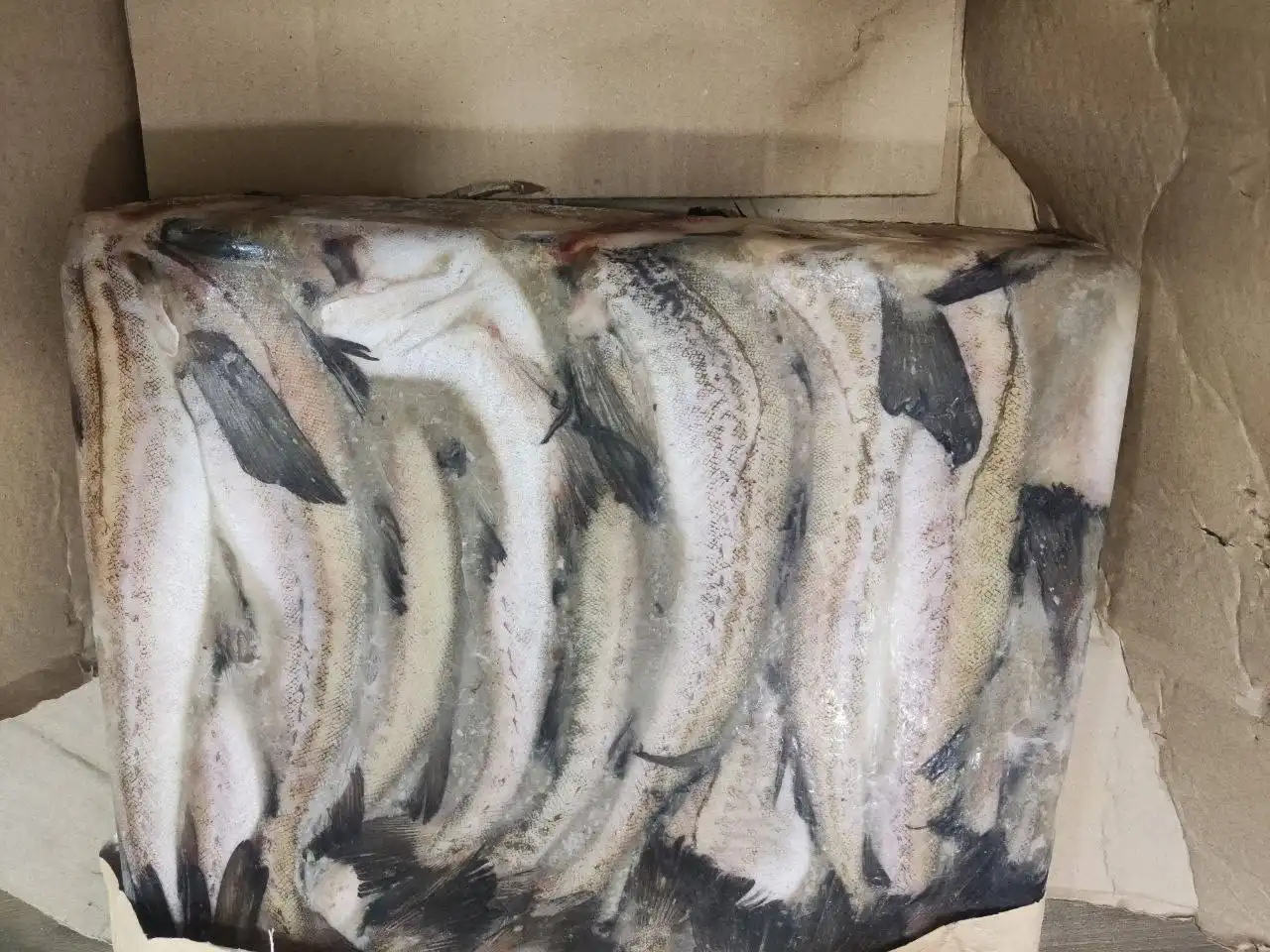 Продажа свежемороженой рыбы и морепродуктов с доставкой