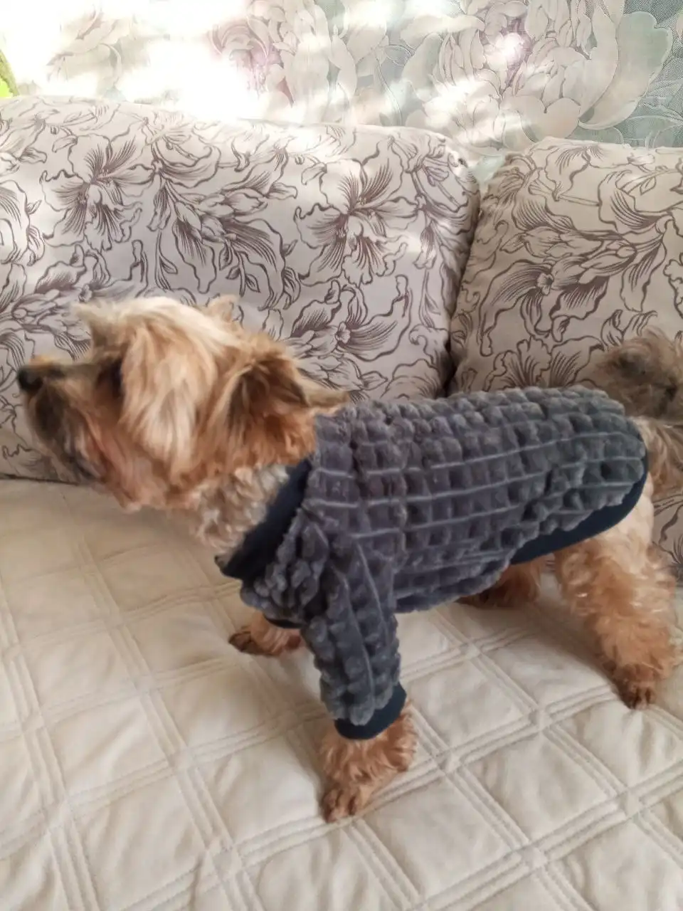 Одежда для собак маленьких пород от опытной швеи - Одежда для животных (Барахолка) в Тольятти