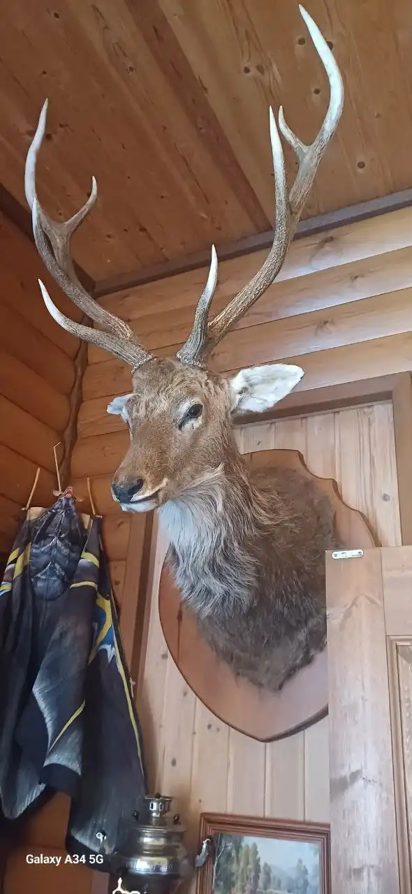 Продам в Тольятти - Барахолка в Тольятти