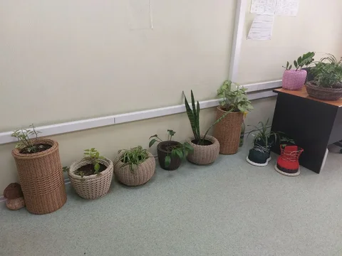 Кашпо для цветов из ротанга на заказ - Косметика в Тольятти