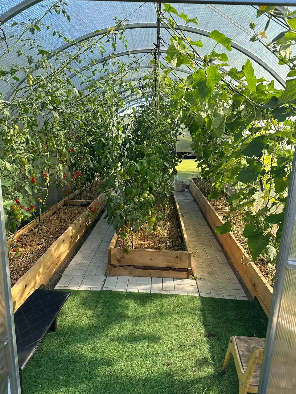 Продам дачу в СНТ Сборщик Тольятти - Дача (Недвижимость) в Тольятти