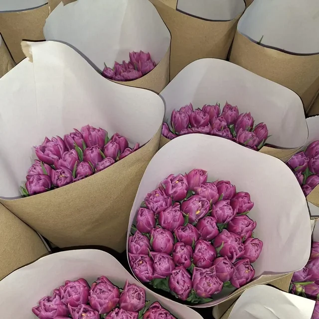 Мимоза и тюльпаны оптом от производителя в Ульяновске - Хобби и отдых в Ульяновск