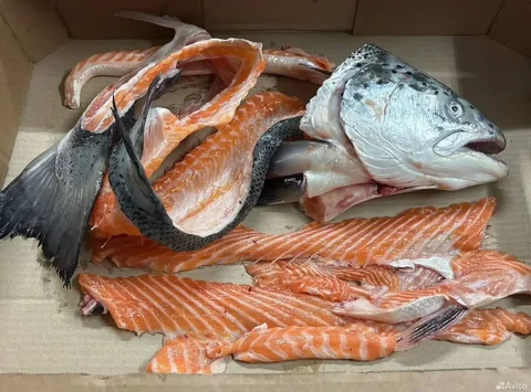 Суповой набор форели охлаждённый - Рукоделие / Хендмейд в Тольятти