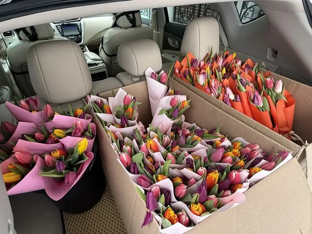 Тюльпаны свежие - Одежда детская в Тольятти