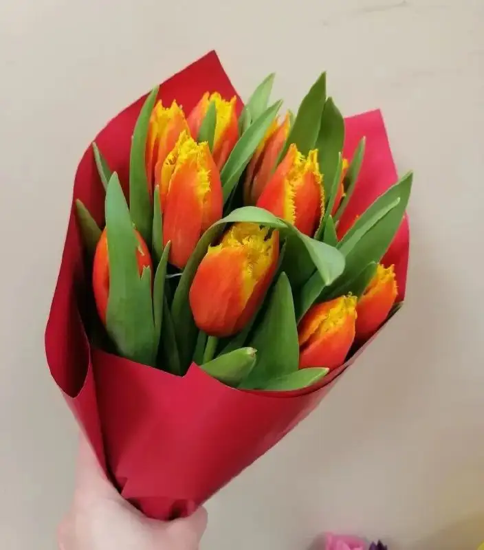 Тюльпаны свежие - Барахолка в Тольятти