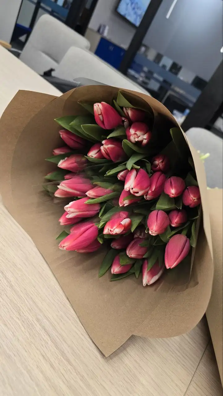 Тюльпаны свежие - Барахолка в Тольятти