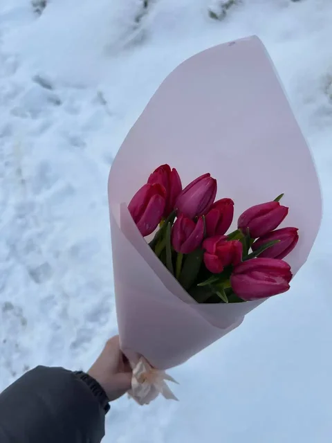 Тюльпаны от 1000 рублей за букет - Инструменты в ТОЛЬЯТТИ