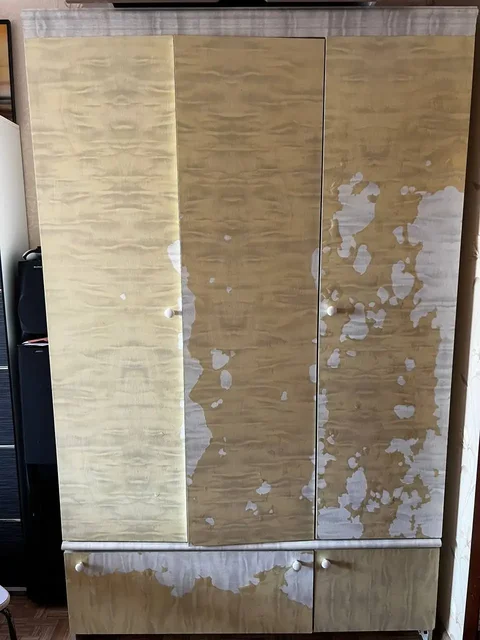 Два шкафа с поврежденной пленкой - Цветы и флористика в ТОЛЬЯТТИ