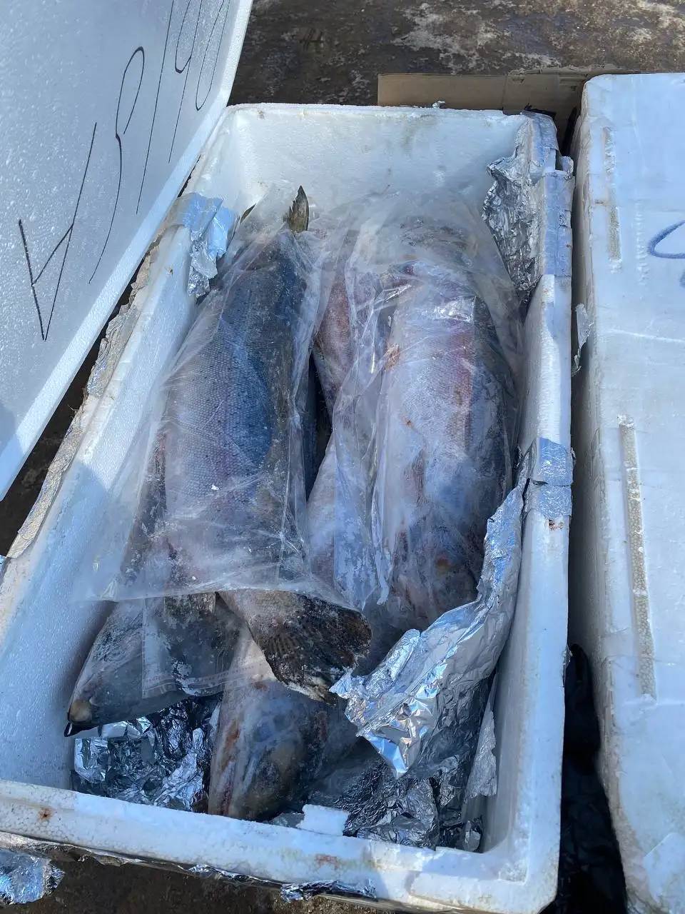 Свежемороженая рыба с Камчатки - Барахолка в Тольятти