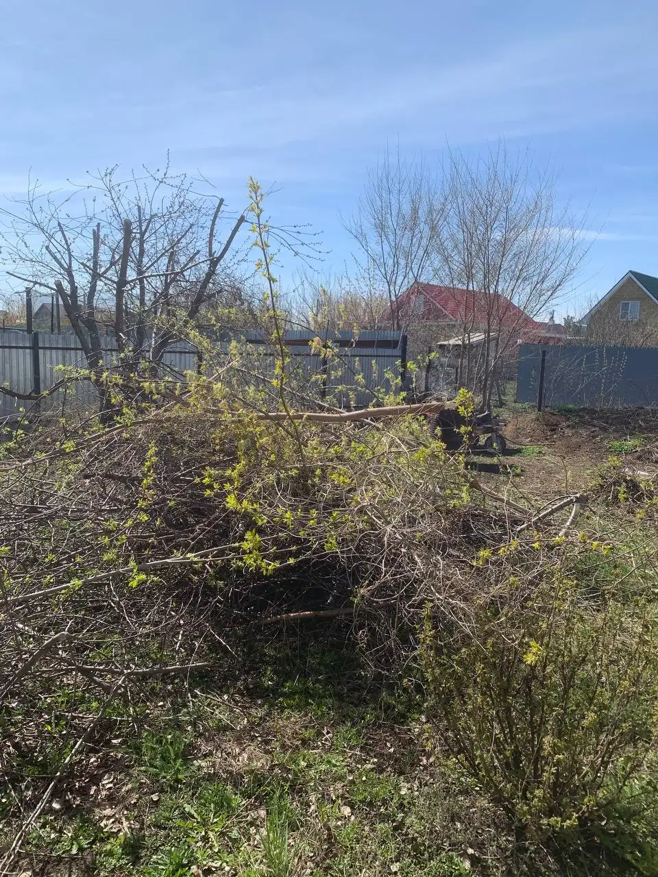 Вывоз веток и травы - Вывоз мусора (Услуги) в Тольятти