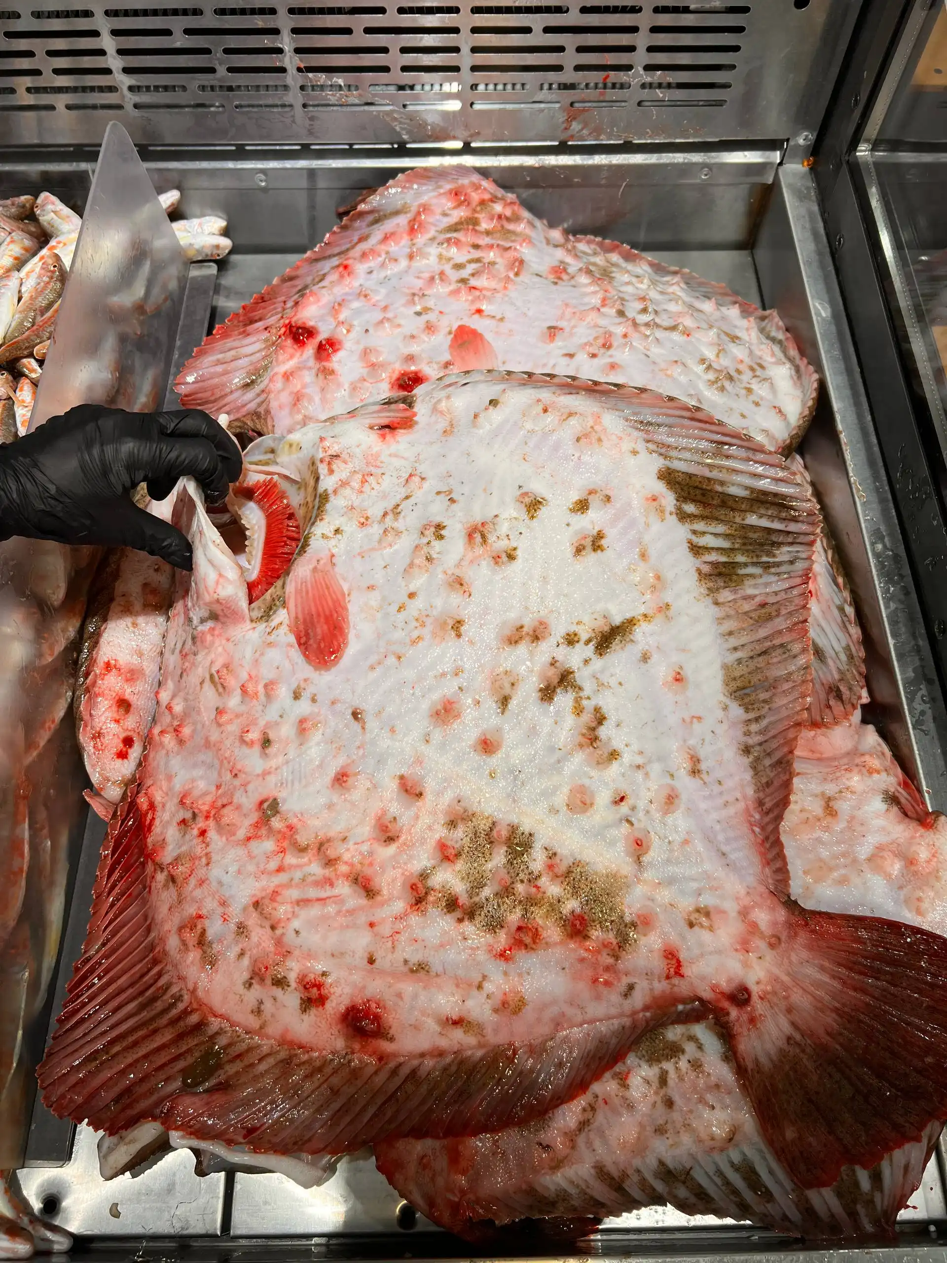 Продажа свежей черноморской рыбы