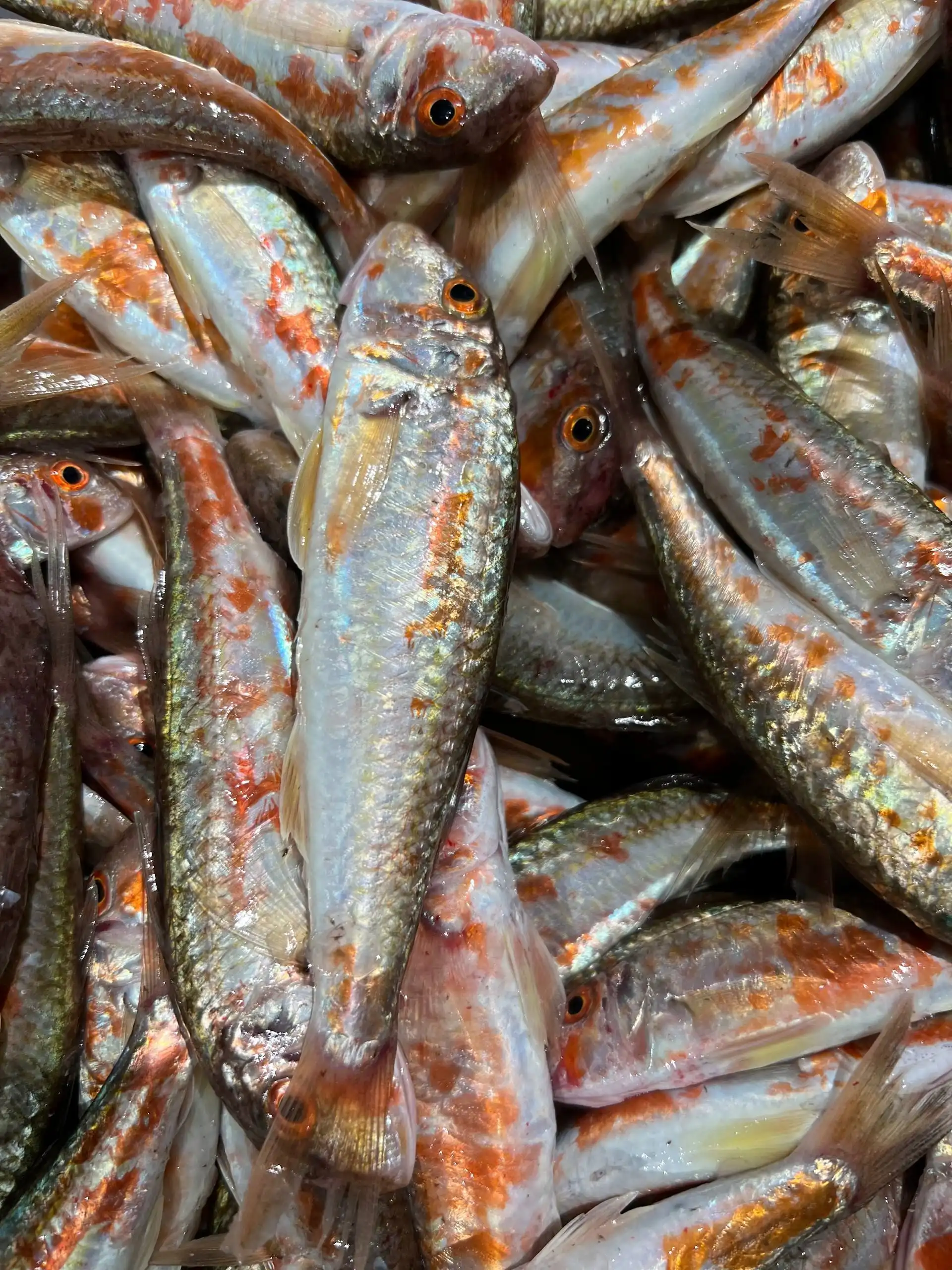 Продажа свежей черноморской рыбы