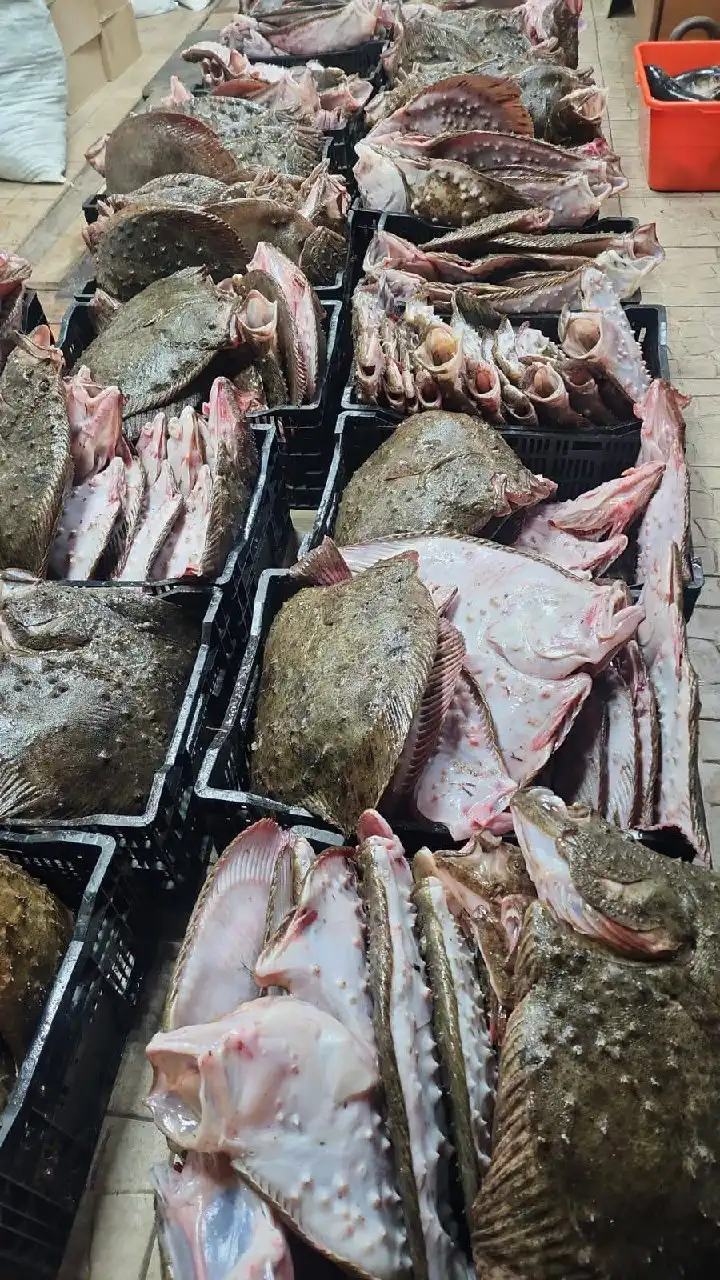 Продажа свежей черноморской рыбы