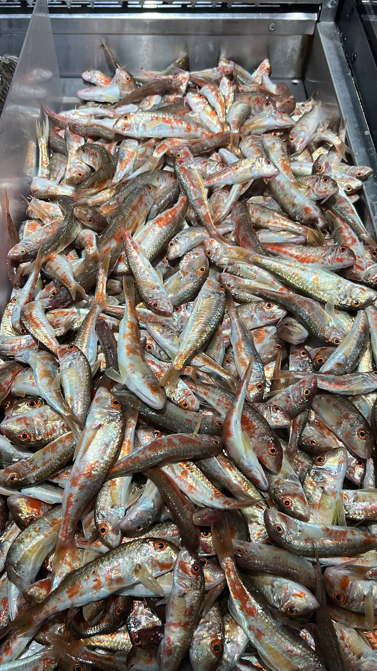 Продажа свежей черноморской рыбы