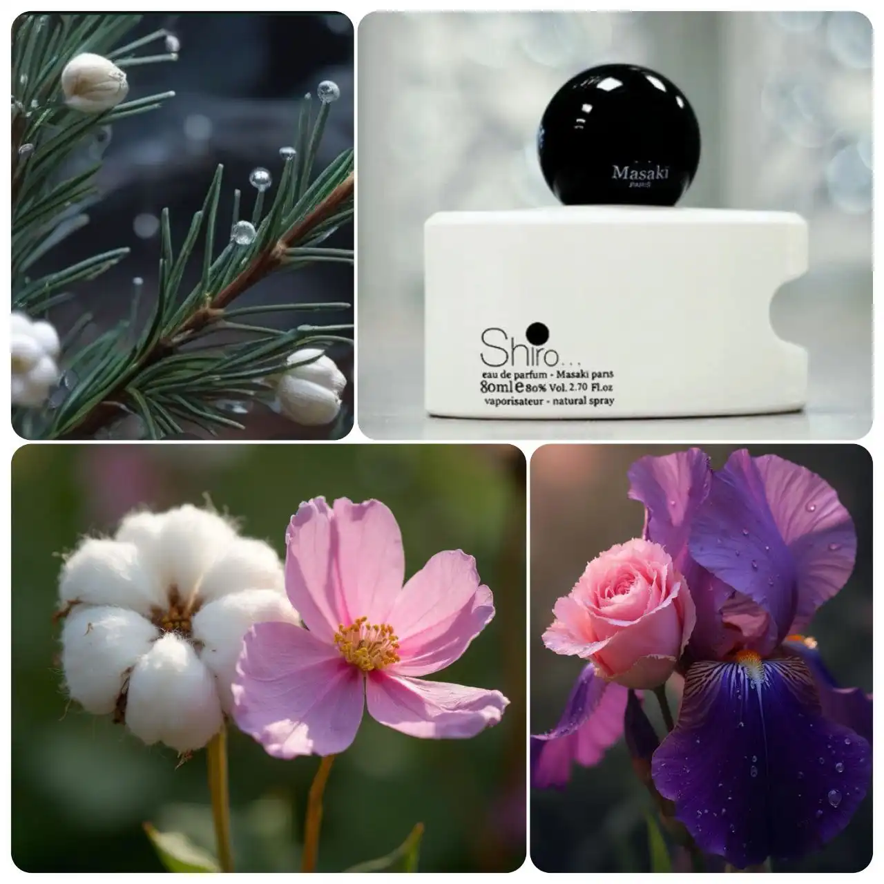 Masaki Shiro Masaki Matsushima - женский парфюм