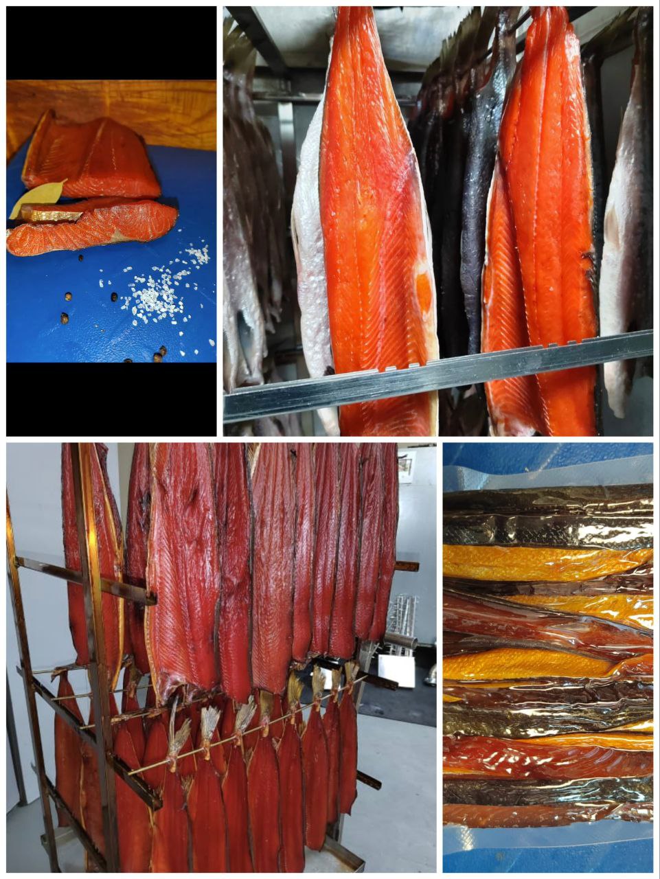 Рыбка Курильская