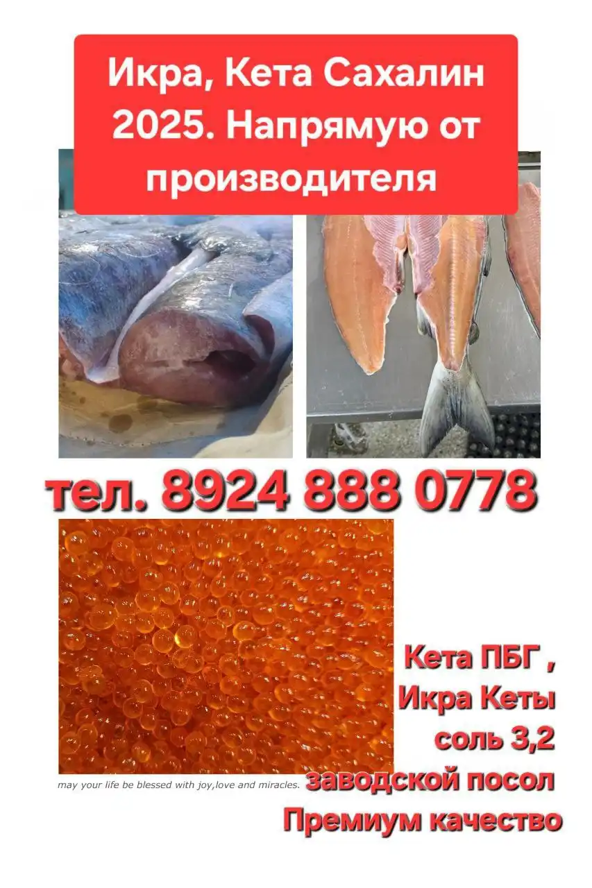 Кета и икра кеты Сахалин 2025