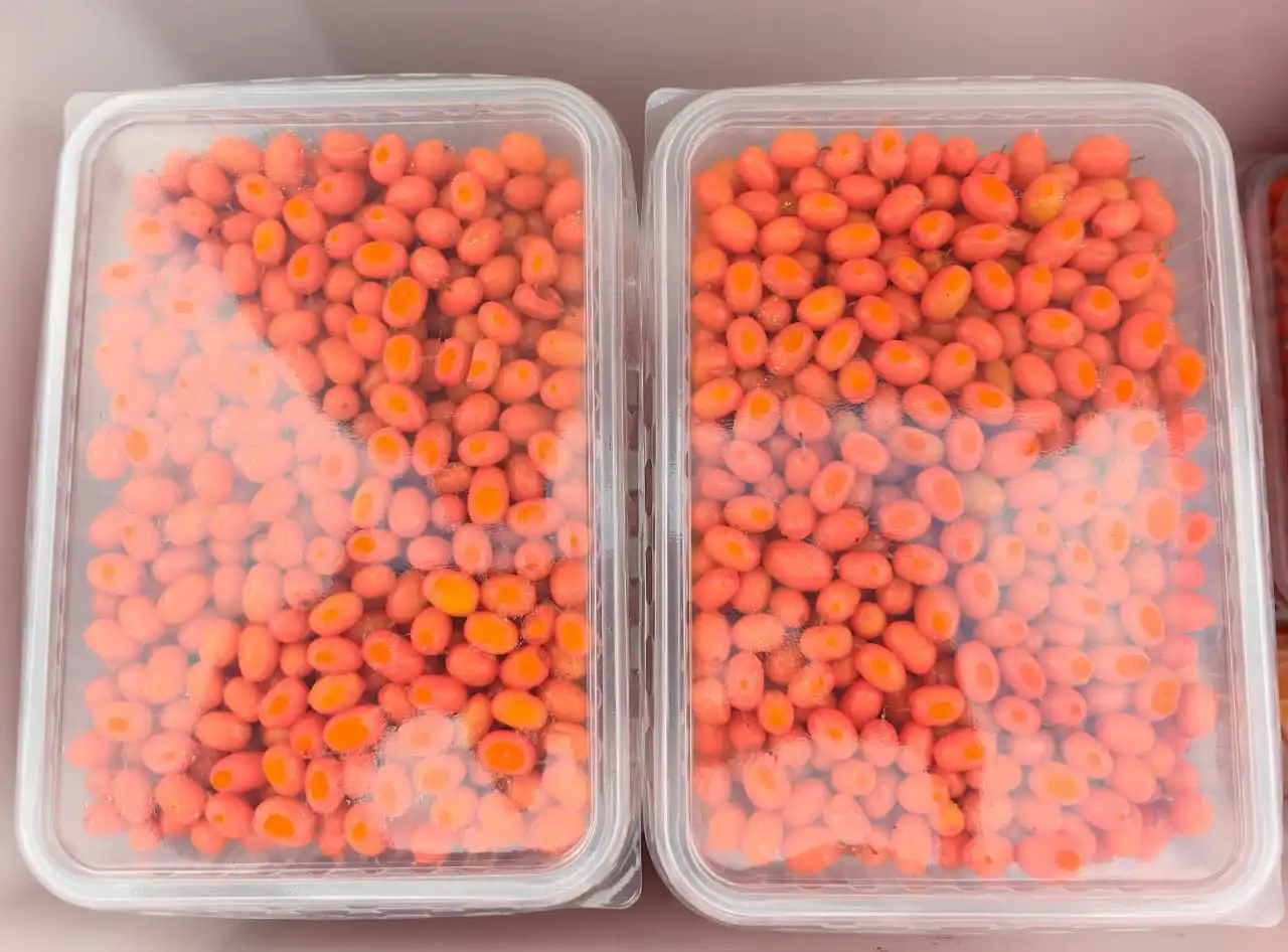 Продам облепиху