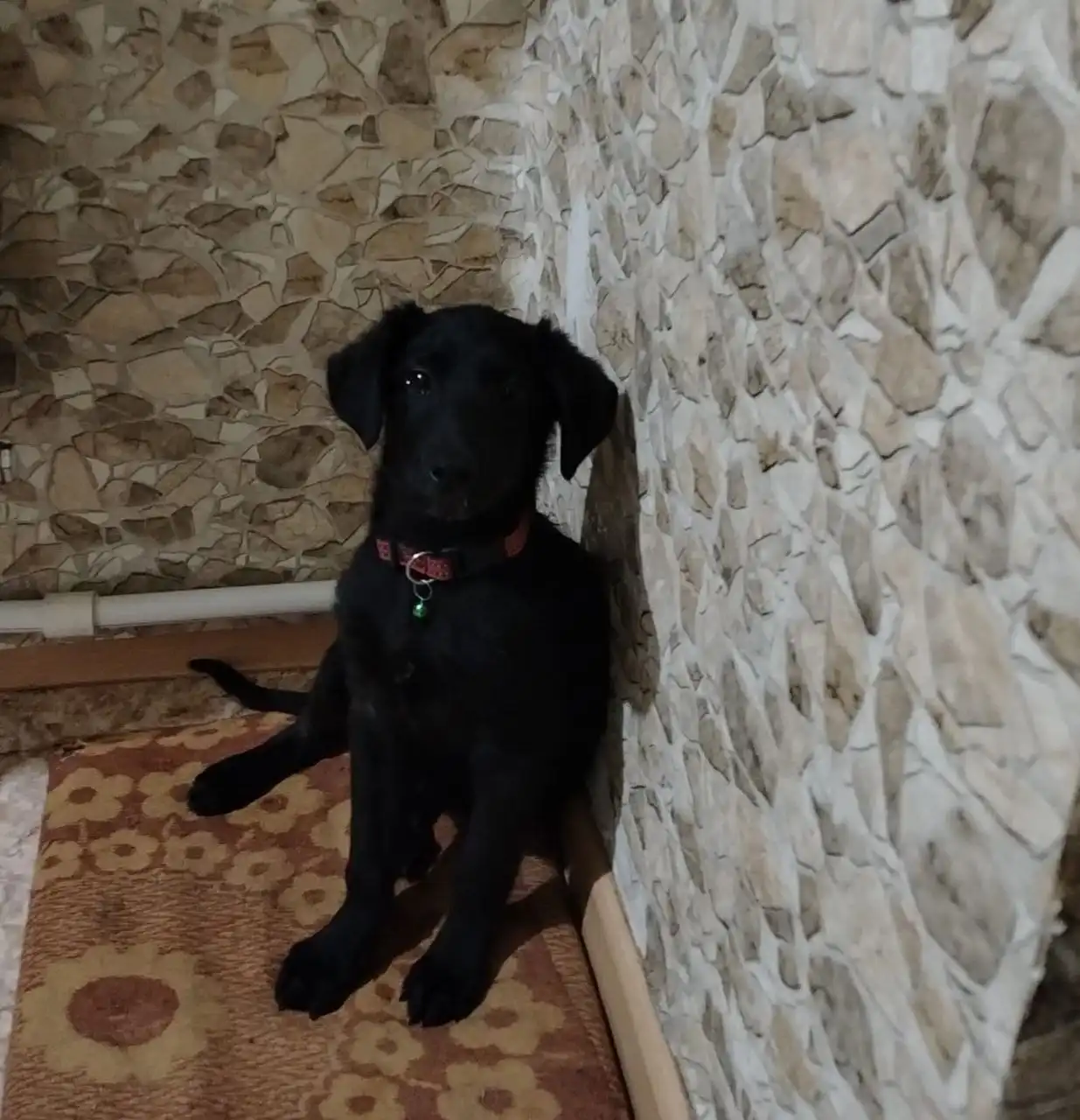 Малыш ищет любящую семью