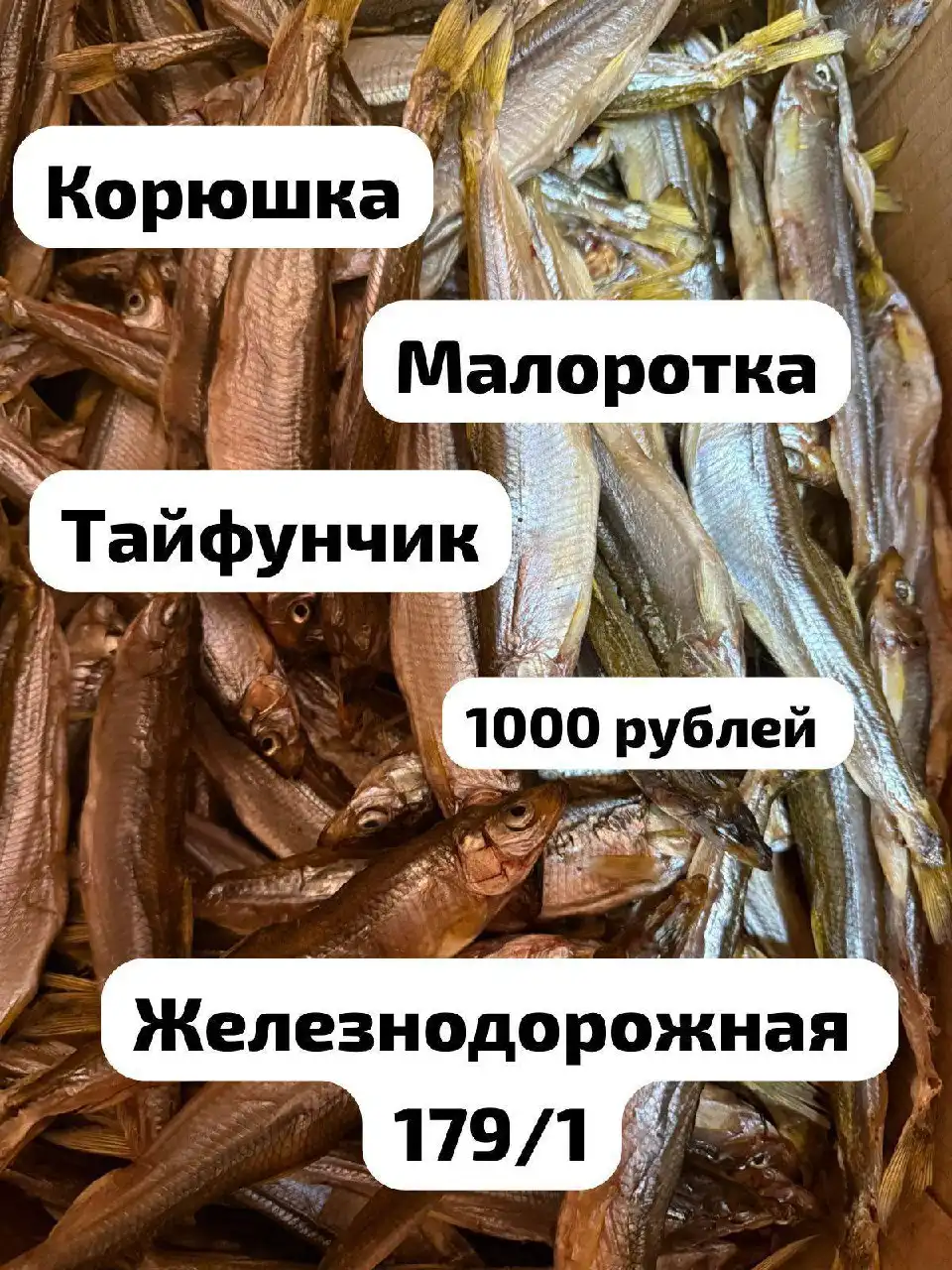 Корюшка Малоротка «Тайфунчик» в Магазине «Морепродуктов»