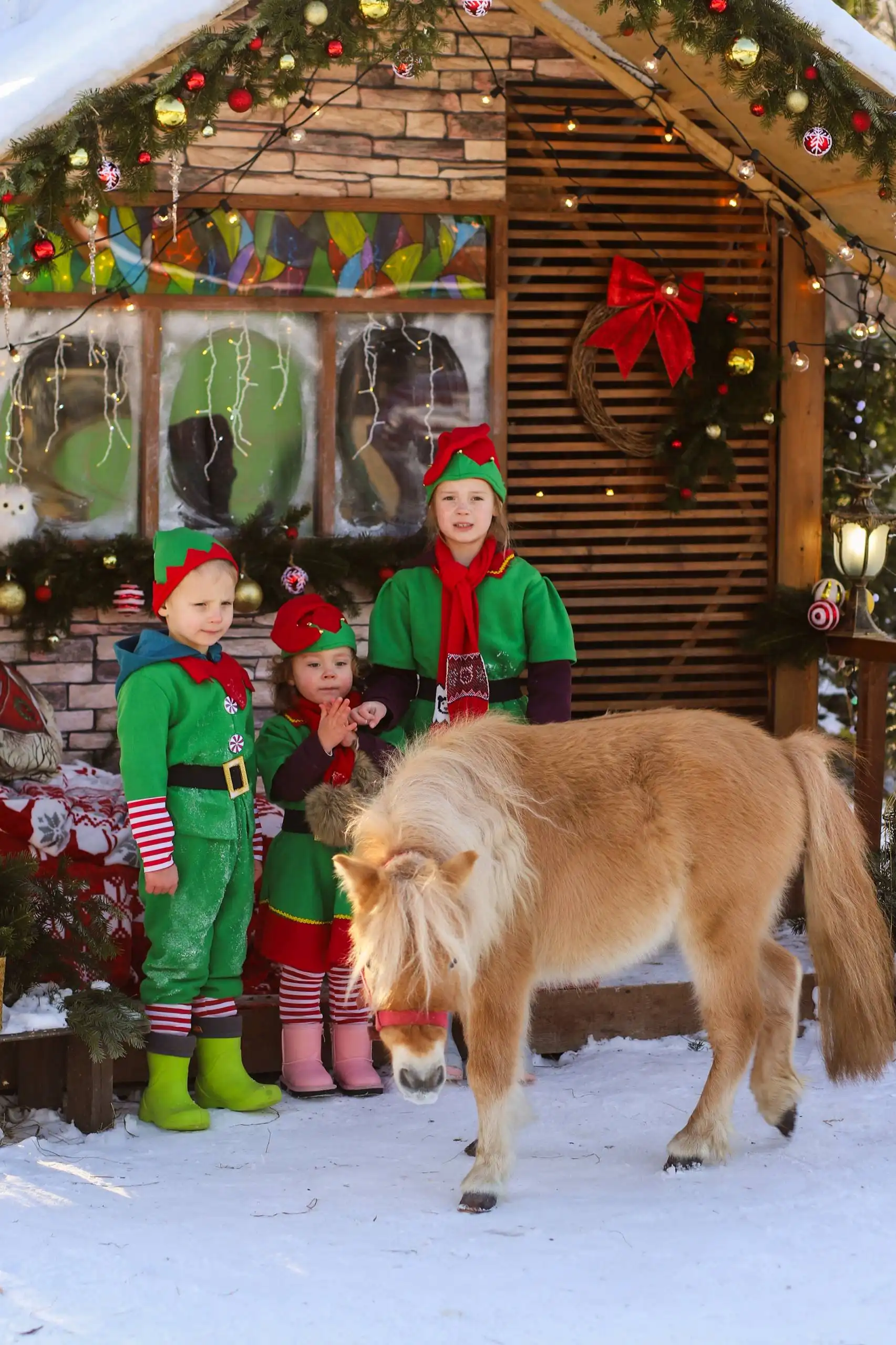 Фото-проект «ВОЛШЕБНЫЙ ДОМИК» на эко-ферме под Сахалином