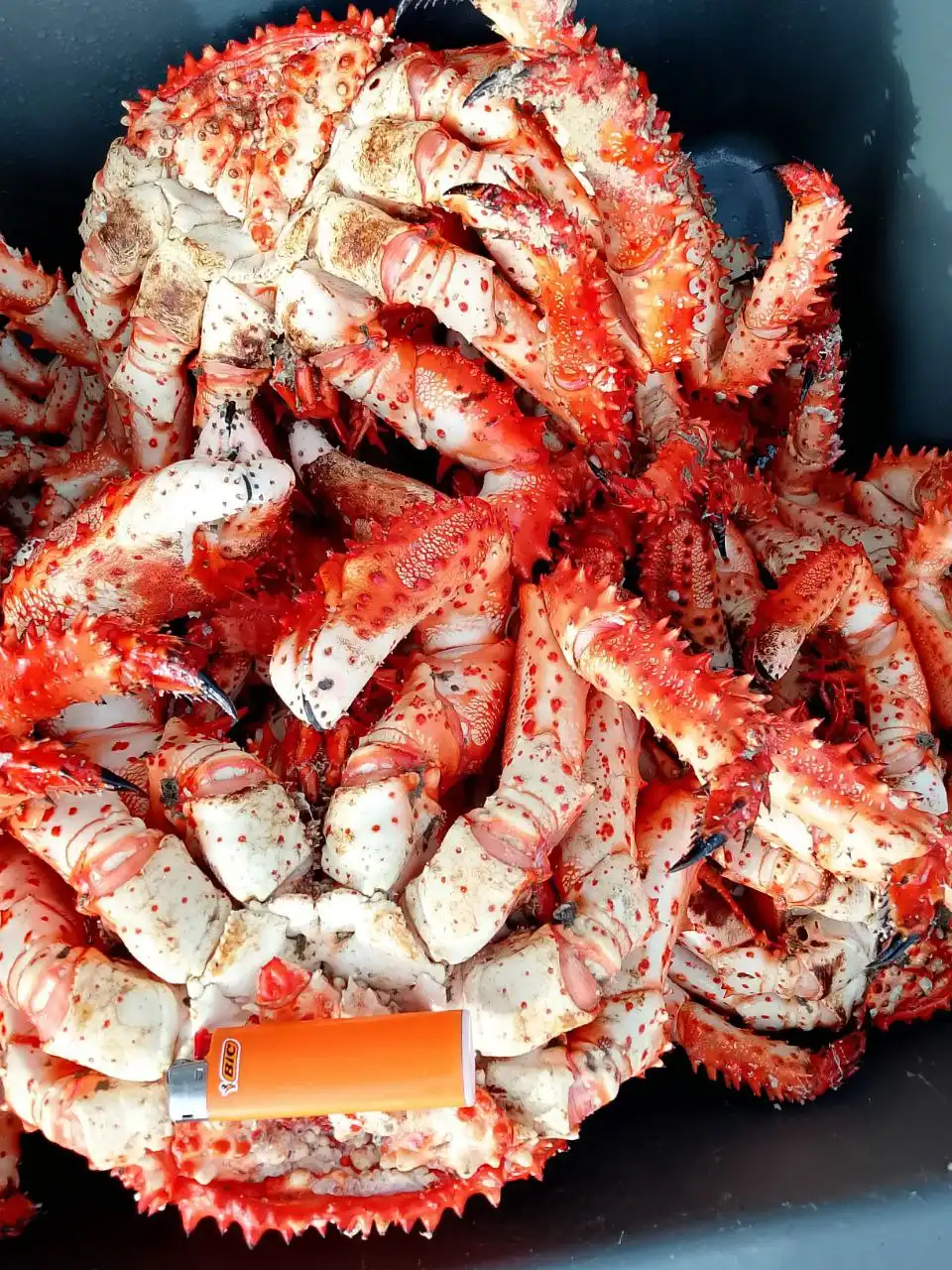 Продажа морепродуктов: краб, король, Камчатка, волосатики