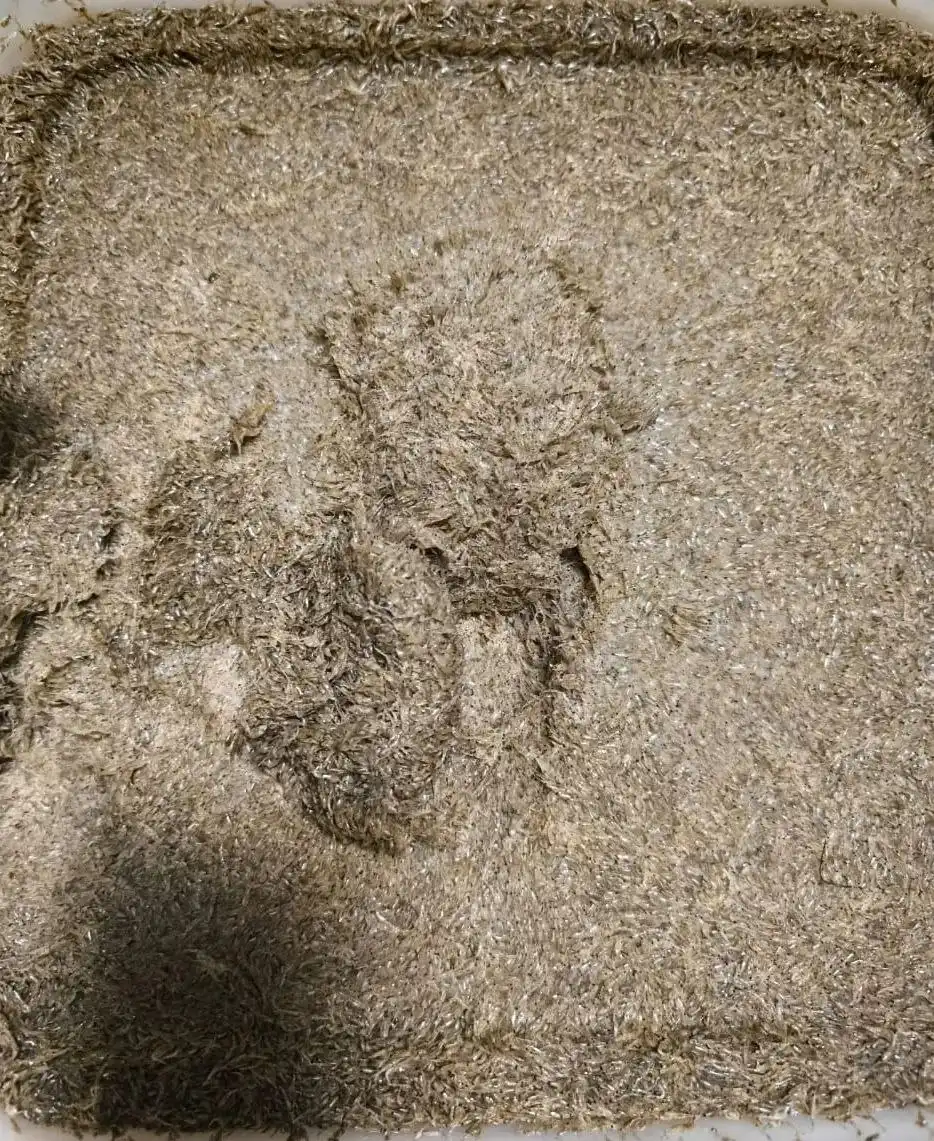 Продажа криля немытого чистого