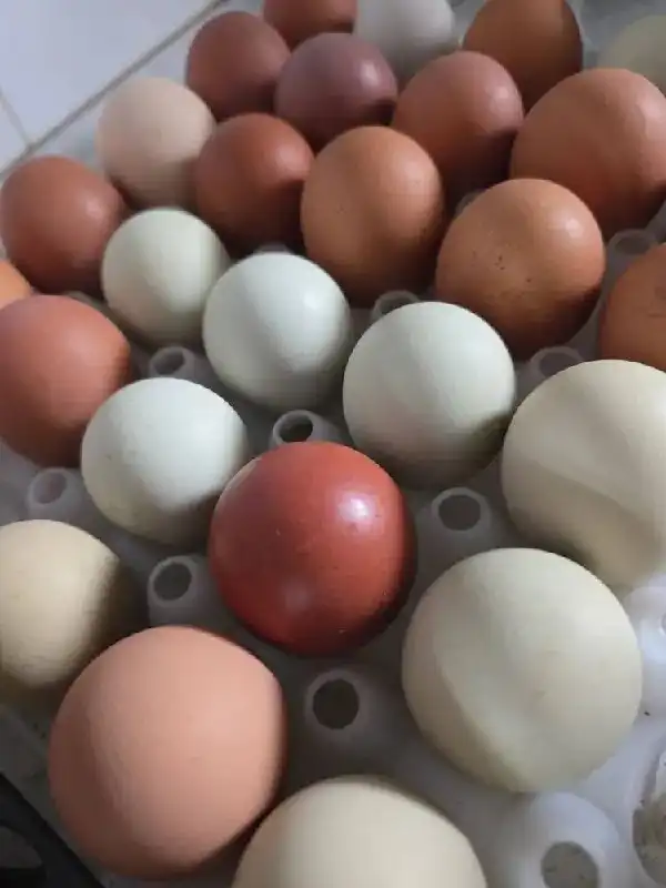 Продажа доски