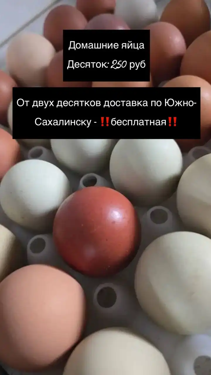 Продажа курочек на Сахалине
