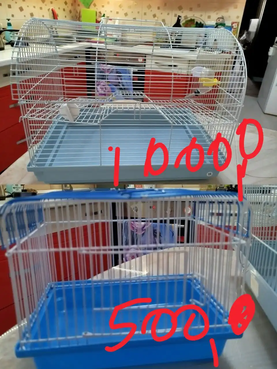 Продажа клеток и аксессуаров для грызунов - Товары для животных (Животные) в Южно-Сахалинск