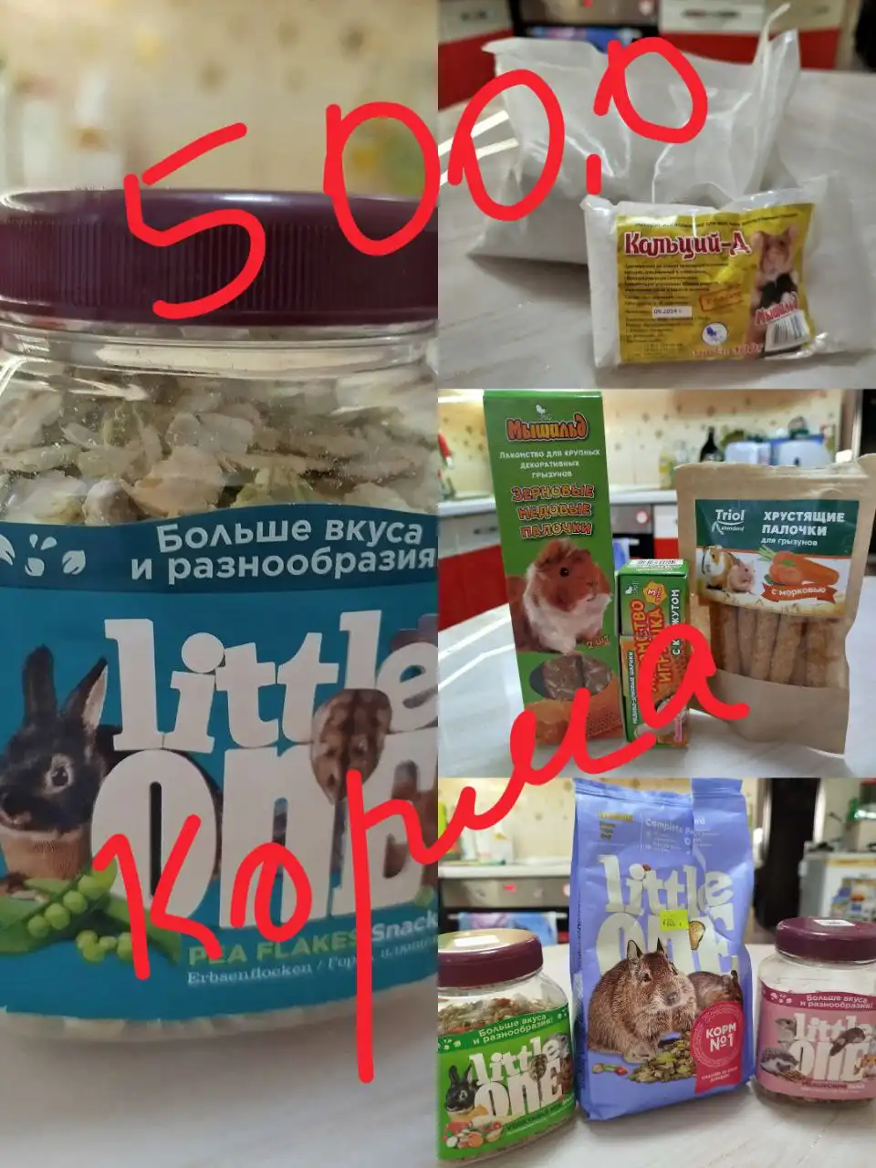 Продажа клеток и аксессуаров для грызунов - Товары для животных (Животные) в Южно-Сахалинск