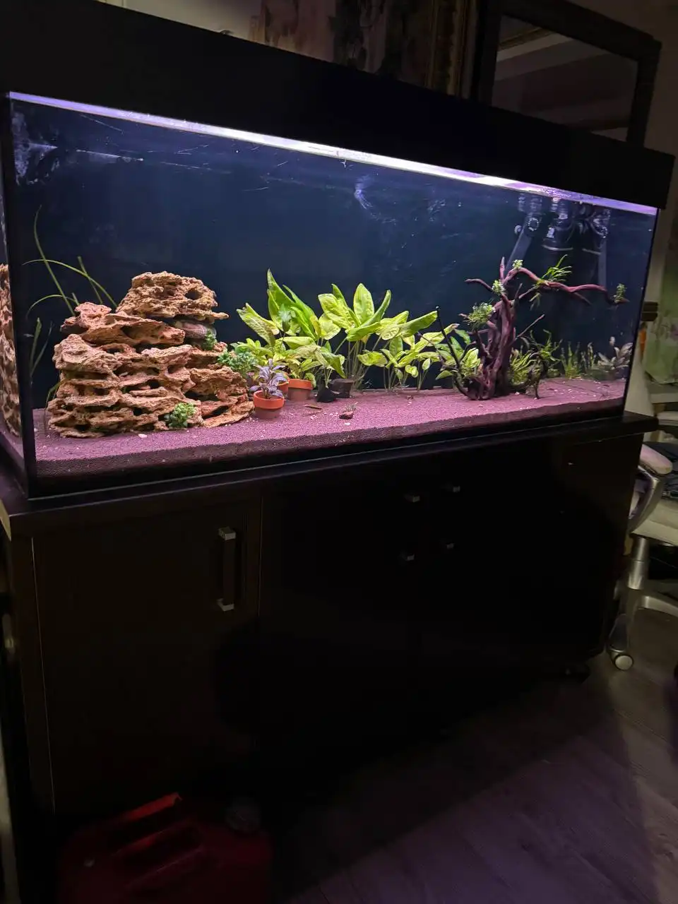 Продам аквариум 400л с тумбой - Аквариумистика (Хобби и отдых) в Южно-Сахалинск