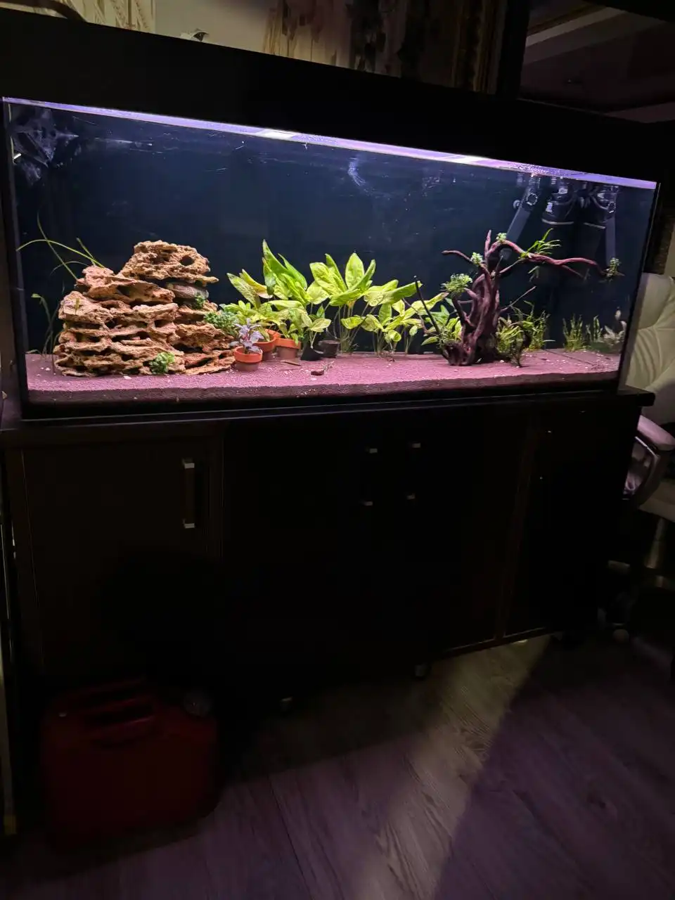 Продам аквариум 400л с тумбой - Аквариумистика (Хобби и отдых) в Южно-Сахалинск