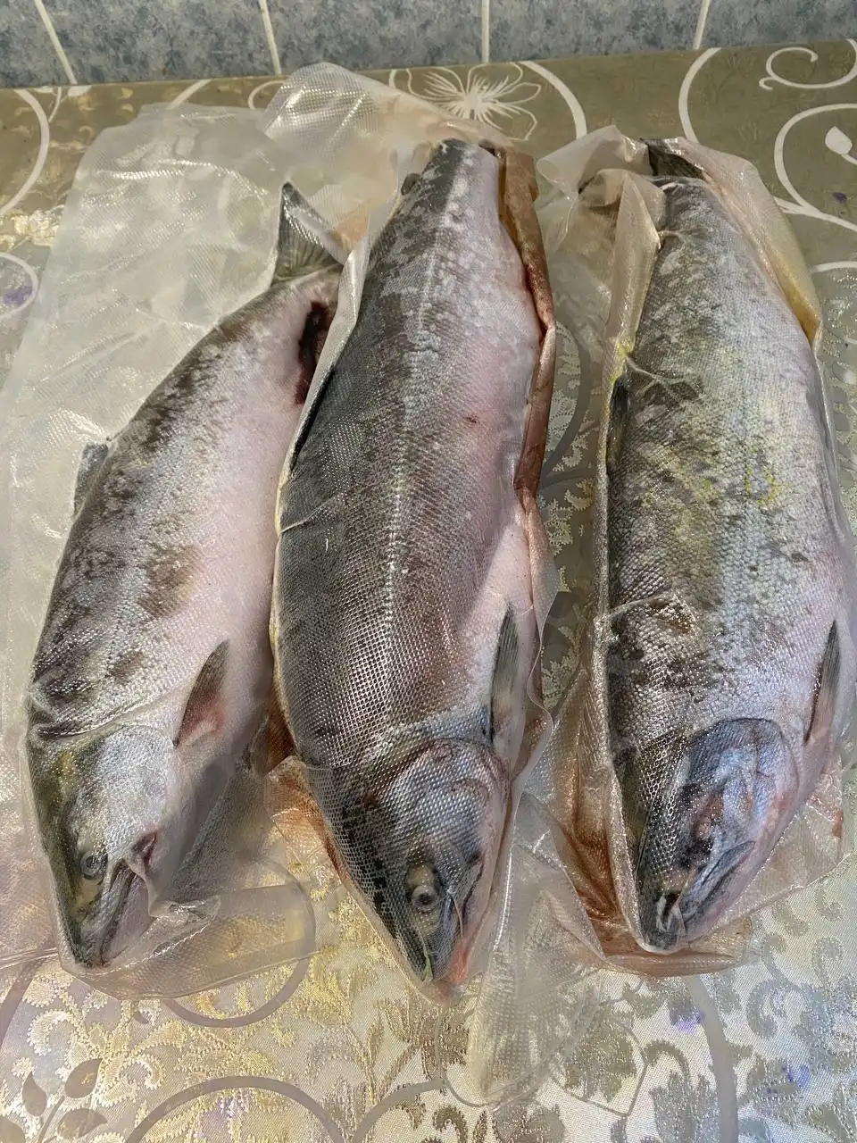 Сима морская свежевыловленная - Продукты питания (Барахолка) в Холмск