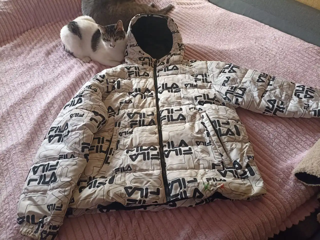 Пуховик Fila зима р 44-46 - Верхняя одежда (Одежда) в Южно-Сахалинск