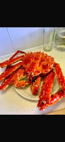 Свежесваренный камчатский краб - Продукты питания в Южно-Сахалинск