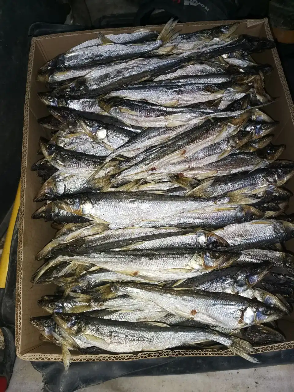 Продажа крупной сухой зубатки - Продукты питания (Барахолка) в Корсаков