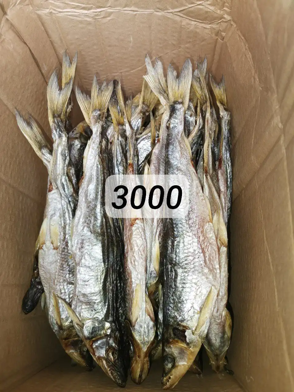 Зубатка крупная икряная - Рыба и морепродукты (Барахолка) в Корсаков