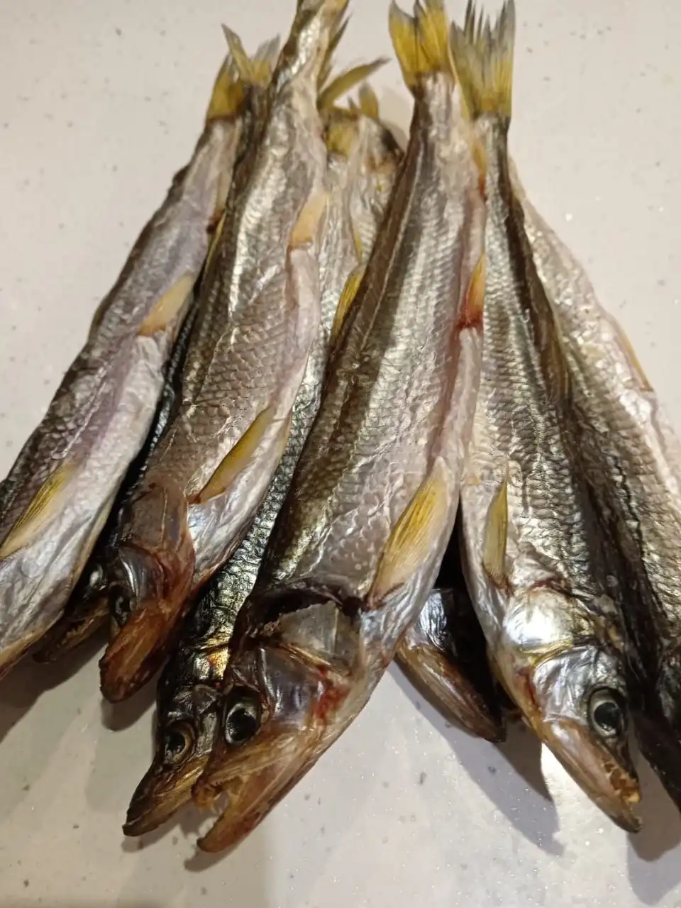 Продажа свежего крупного зубаря вылов 2026г - Барахолка в Южно-Сахалинск