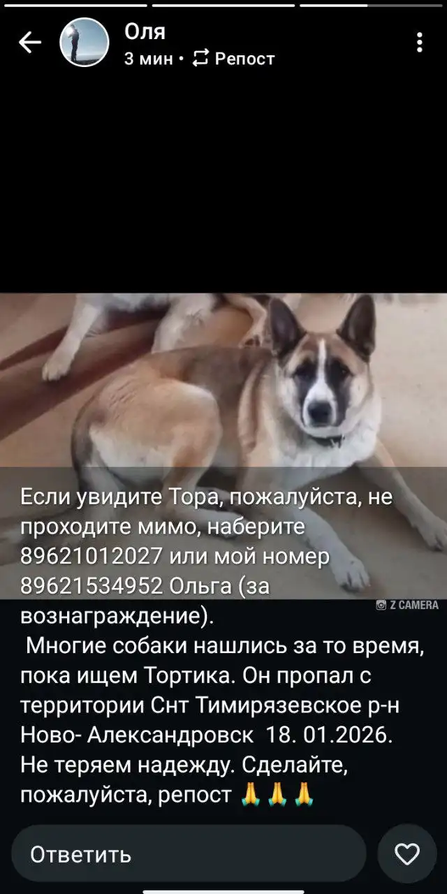 Продам б/у товары в Южно-Сахалинске - Барахолка в Южно-Сахалинск