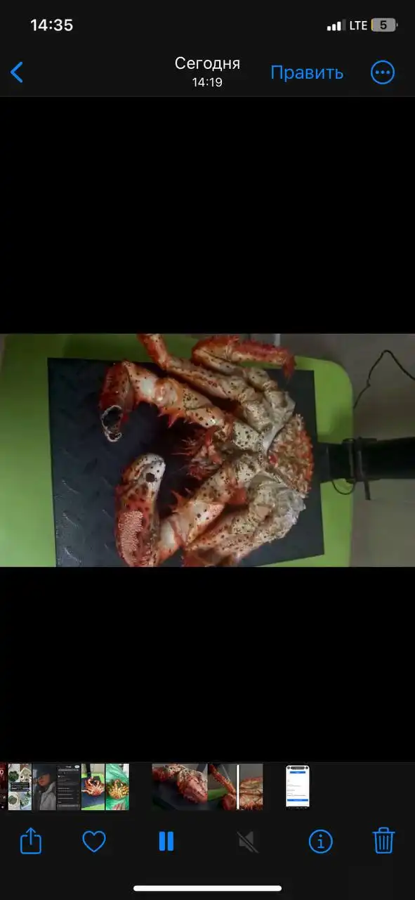 Продажа свежих королевских крабов - Морепродукты (Барахолка) в Южно-Сахалинск