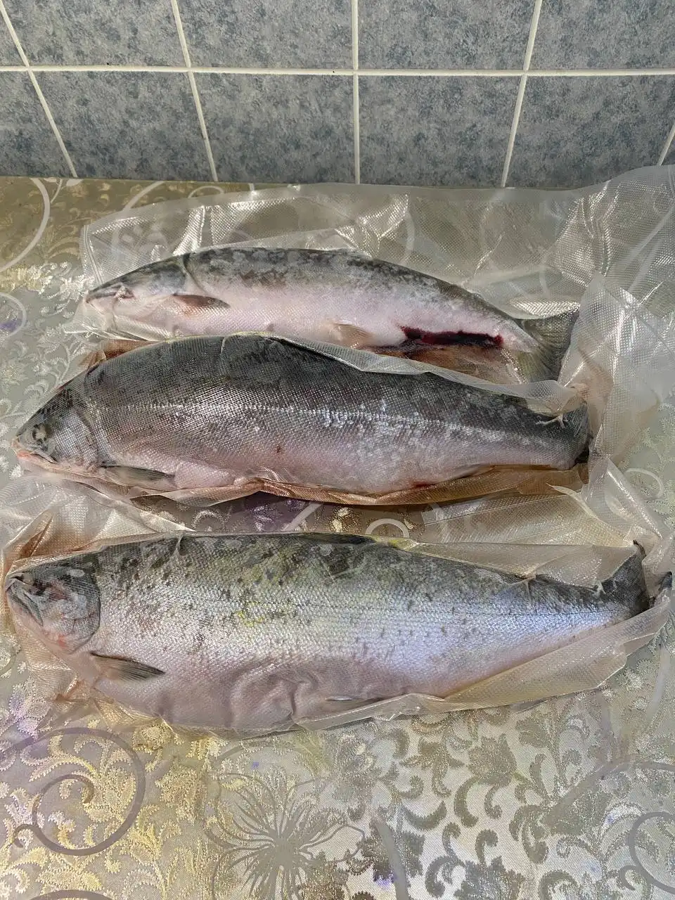 Морская рыба сима, выловлена в конце мая - Рыбалка/морепродукты (Барахолка) в Холмск