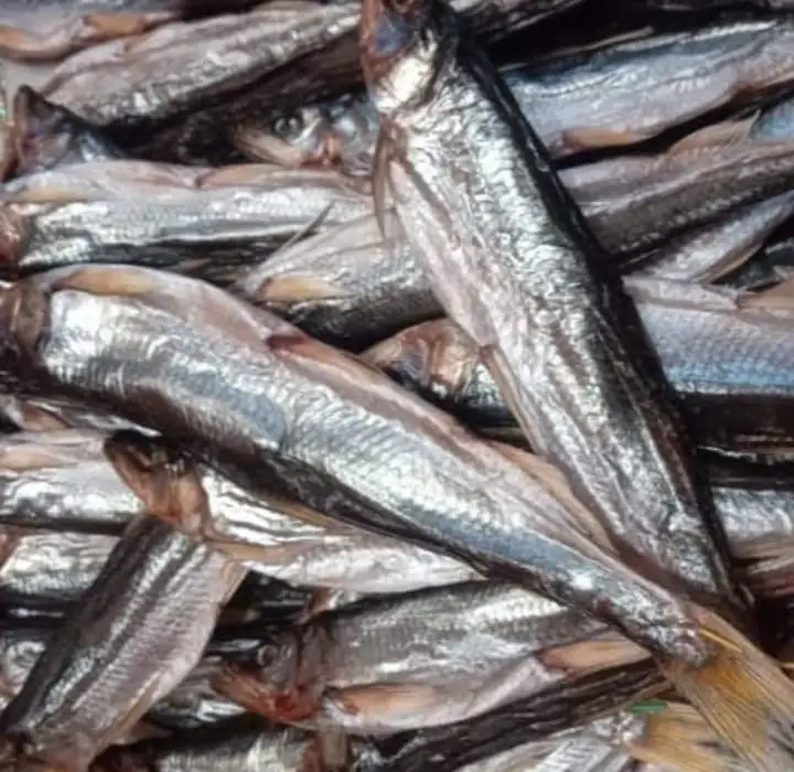 Зубатка слабосоленая вяленая - Продукты питания (Барахолка) в Корсаков