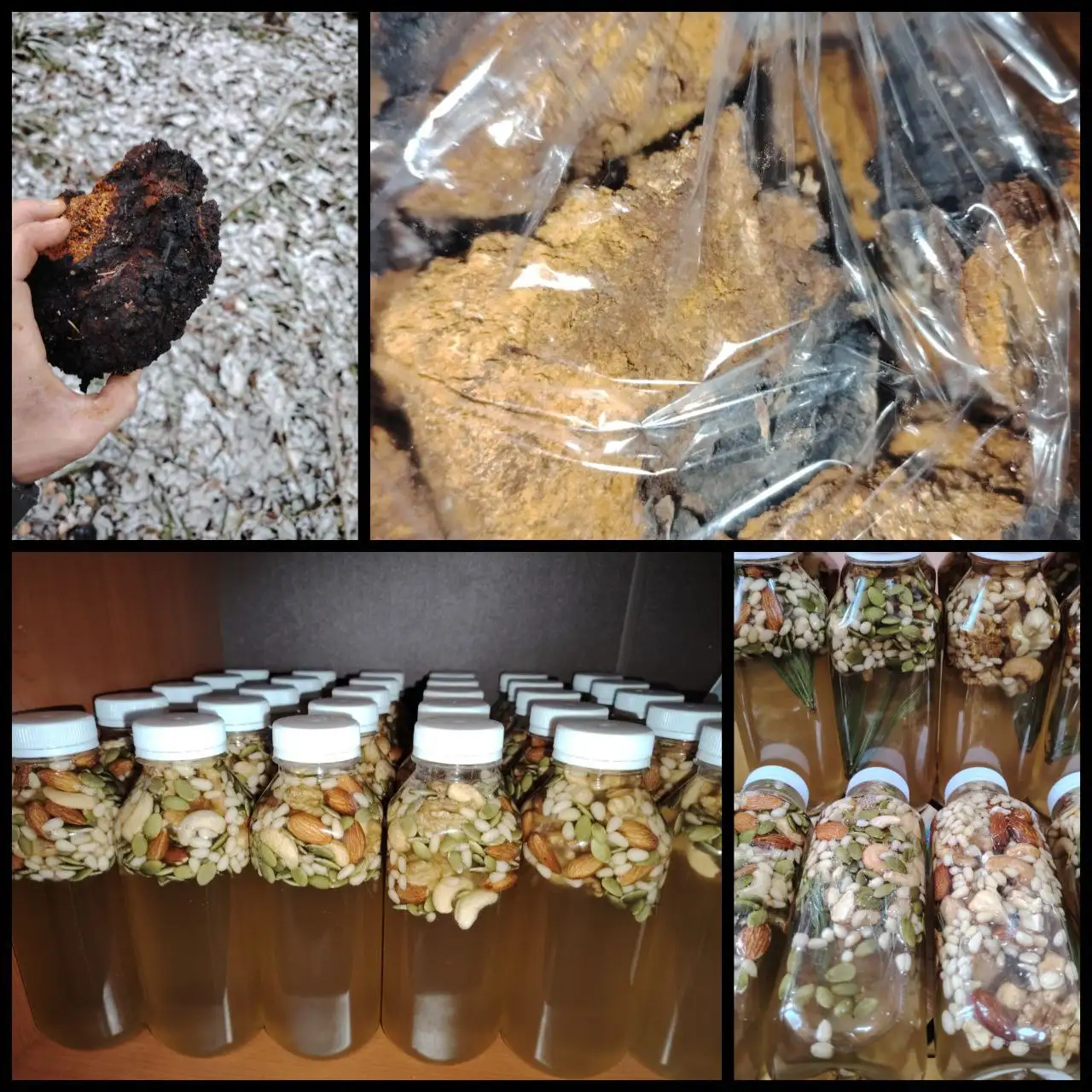 Чага и сосновые сиропы с орешками - БАДы, травы, натуральные продукты (Красота и здоровье) в Южно-Сахалинск