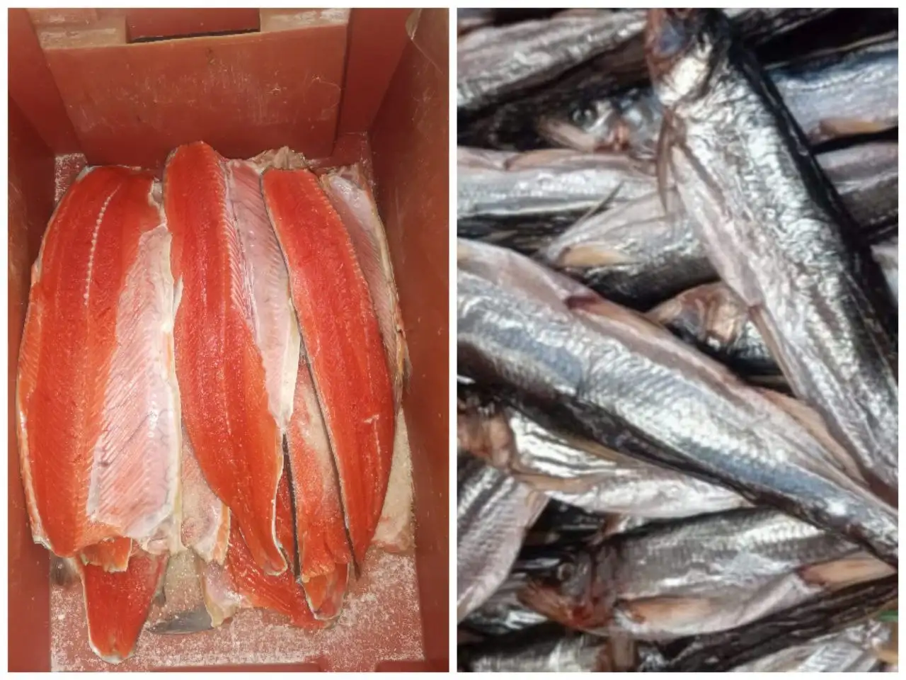 Продажа филе нерки и зубатки - Продукты питания (Барахолка) в Корсаков