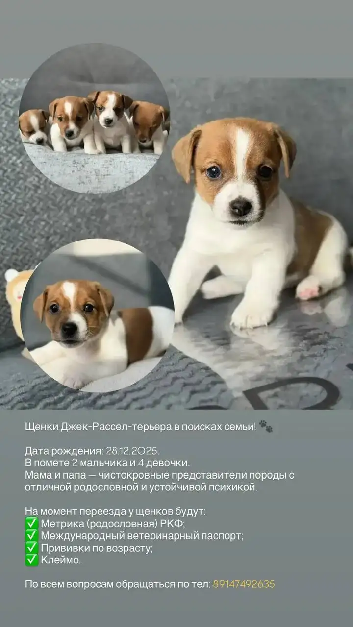 Объявление на Сахалине - Барахолка в Южно-Сахалинск