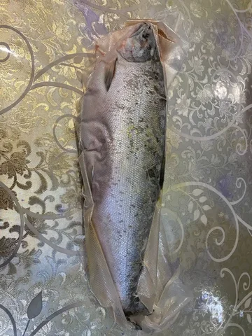 Морская рыба сима вакуумная упаковка - Рыбалка в Холмск