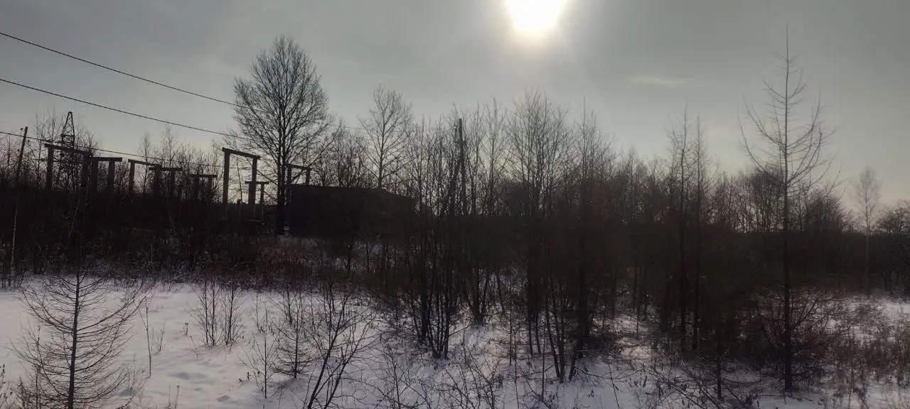 Продажа земельного участка 65:05:0000007:753 в с. Мицулевка - Земельные участки (Недвижимость) в Анива