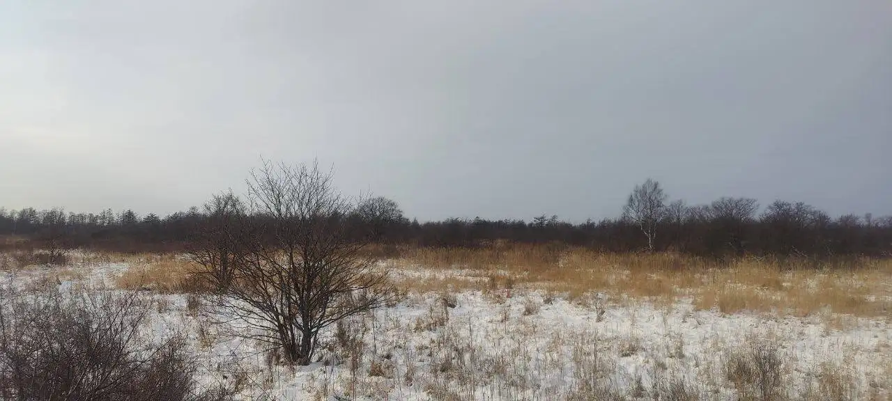 Продажа земельного участка 65:05:0000007:753 в с. Мицулевка - Земельные участки (Недвижимость) в Анива